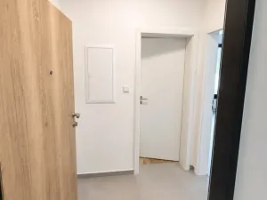 Pronájem bytu 1+kk, Plzeň - Jižní Předměstí, Železná, 37 m2