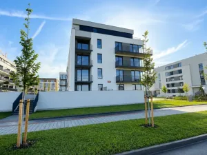 Pronájem bytu 1+kk, Plzeň - Jižní Předměstí, Železná, 37 m2