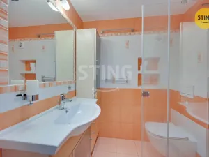 Prodej rodinného domu, Pardubice, Ve Lhotkách, 340 m2