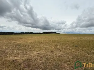 Prodej pole, Suchý, 2000 m2