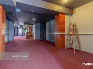 Pronájem obchodního prostoru, Plzeň - Východní Předměstí, Koterovská, 217 m2