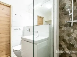 Pronájem bytu 1+kk, Praha - Vysočany, Skloněná, 44 m2