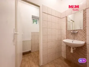 Pronájem obchodního prostoru, Brandýs nad Labem-Stará Boleslav - Brandýs nad Labem, Kostelecká, 120 m2