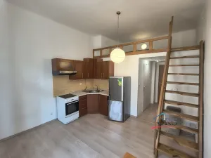 Pronájem bytu 1+kk, Praha - Žižkov, Seifertova, 25 m2