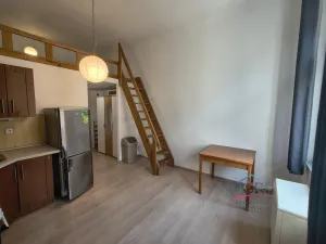 Pronájem bytu 1+kk, Praha - Žižkov, Seifertova, 25 m2