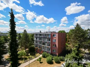 Pronájem bytu 2+1, Brno, Třískalova, 51 m2