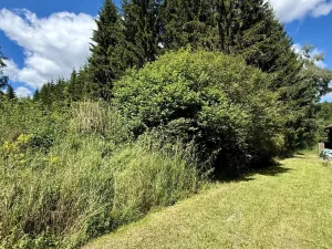 Prodej zahrady, Valy, 1072 m2
