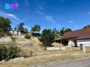 Prodej rodinného domu, Častohostice, 93 m2