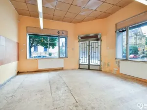 Prodej obchodního prostoru, Olomouc, Resslova, 77 m2