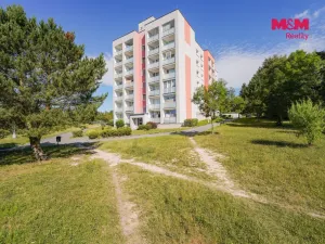 Prodej bytu 1+kk, Horní Bříza, U Vrbky, 22 m2