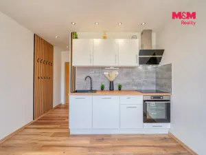 Prodej bytu 1+kk, Horní Bříza, U Vrbky, 22 m2