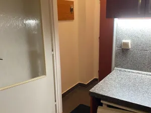 Pronájem bytu 1+kk, Praha - Vysočany, Freyova, 30 m2