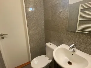 Pronájem bytu 1+kk, Praha - Vysočany, Freyova, 30 m2