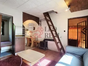 Prodej chaty, Tuřice - Sobětuchy, 66 m2
