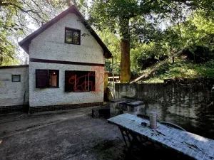 Prodej chaty, Tuřice - Sobětuchy, 66 m2