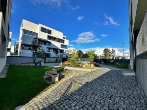 Pronájem bytu 2+kk, Olomouc, Ostrovní, 62 m2