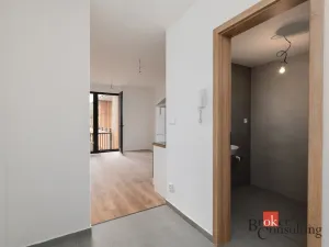 Prodej bytu 1+kk, Plzeň - Východní Předměstí, Kartónová, 29 m2