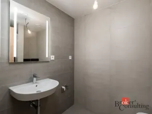 Prodej bytu 1+kk, Plzeň - Východní Předměstí, Kartónová, 29 m2