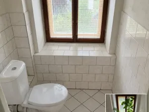 Prodej rodinného domu, Malečov - Horní Zálezly, 280 m2