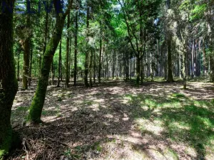 Prodej chaty, Ždírec - Žďár, 100 m2