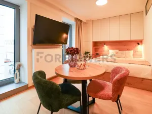 Pronájem bytu 1+kk, Brno, Cyrilská, 23 m2