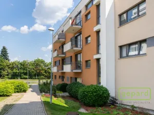 Prodej bytu 2+kk, Praha, Zimova, 55 m2