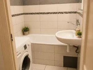 Pronájem bytu 2+1, Praha - Vinohrady, Lužická, 56 m2