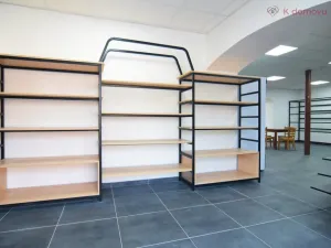 Prodej činžovního domu, Olomouc - Holice, Keplerova, 480 m2