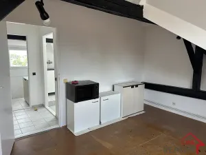 Pronájem bytu 3+1, Staré Město, Hradišťská, 90 m2