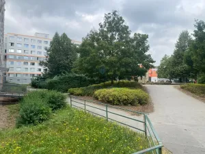 Pronájem bytu 3+1, Praha - Stodůlky, Přecechtělova, 71 m2