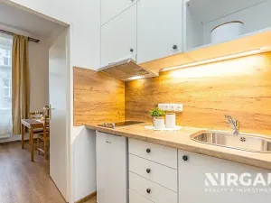 Pronájem bytu 1+kk, Praha - Vyšehrad, Vratislavova, 19 m2
