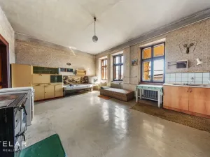 Prodej rodinného domu, Uničov - Renoty, 488 m2