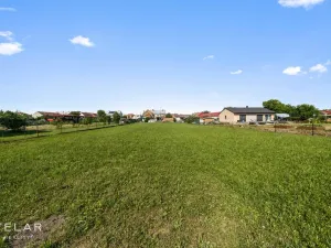 Prodej rodinného domu, Uničov - Renoty, 488 m2