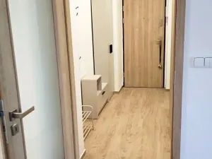 Pronájem bytu 2+1, Olomouc, Blanická, 53 m2