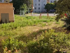 Pronájem bytu 2+1, Olomouc, Blanická, 53 m2