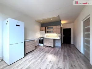 Prodej bytu 1+1, Sokolov, Slavíčkova, 35 m2