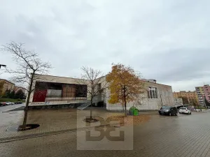 Prodej obchodního prostoru, Chomutov, Zahradní, 14070 m2
