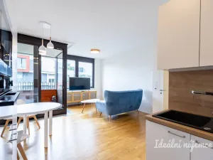 Pronájem bytu 2+kk, Praha - Libeň, Zenklova, 53 m2