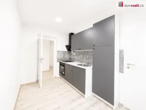 Pronájem bytu 2+1, Teplice, Třebízského, 75 m2