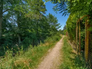 Prodej zahrady, Sokolov, 594 m2