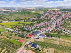 Prodej pozemku pro bydlení, Vrbice, 971 m2