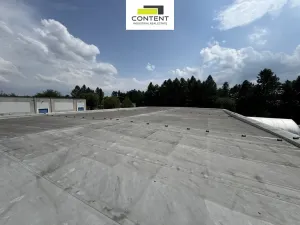 Prodej výrobních prostor, Dolní Břežany, Ke Zvoli, 1598 m2