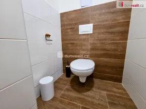 Pronájem bytu 1+kk, Veselí nad Moravou, Svatoplukova, 37 m2
