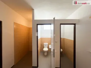 Pronájem výrobních prostor, Podivín, Zahradní, 292 m2
