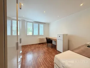 Prodej bytu 1+kk, Plzeň, Luďka Pika, 21 m2