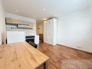Prodej bytu 1+kk, Plzeň, Luďka Pika, 21 m2