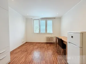 Prodej bytu 1+kk, Plzeň, Luďka Pika, 21 m2