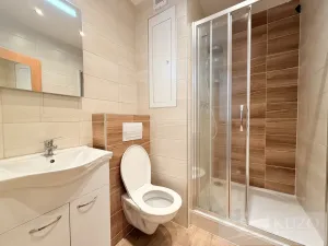 Prodej bytu 1+kk, Plzeň, Luďka Pika, 21 m2