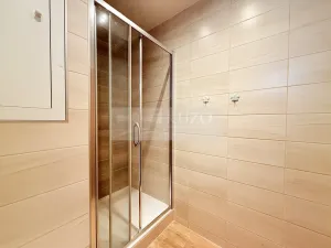Prodej bytu 1+kk, Plzeň, Luďka Pika, 21 m2