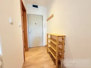 Prodej bytu 1+kk, Plzeň, Luďka Pika, 21 m2